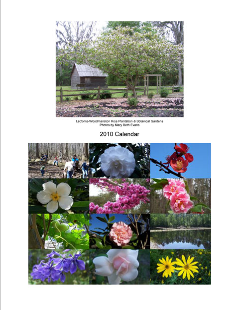 2010 Calendar