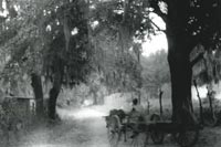 19th century plantation scene