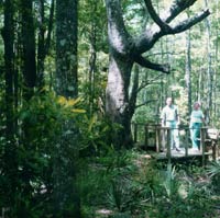 Exploring the nature trail